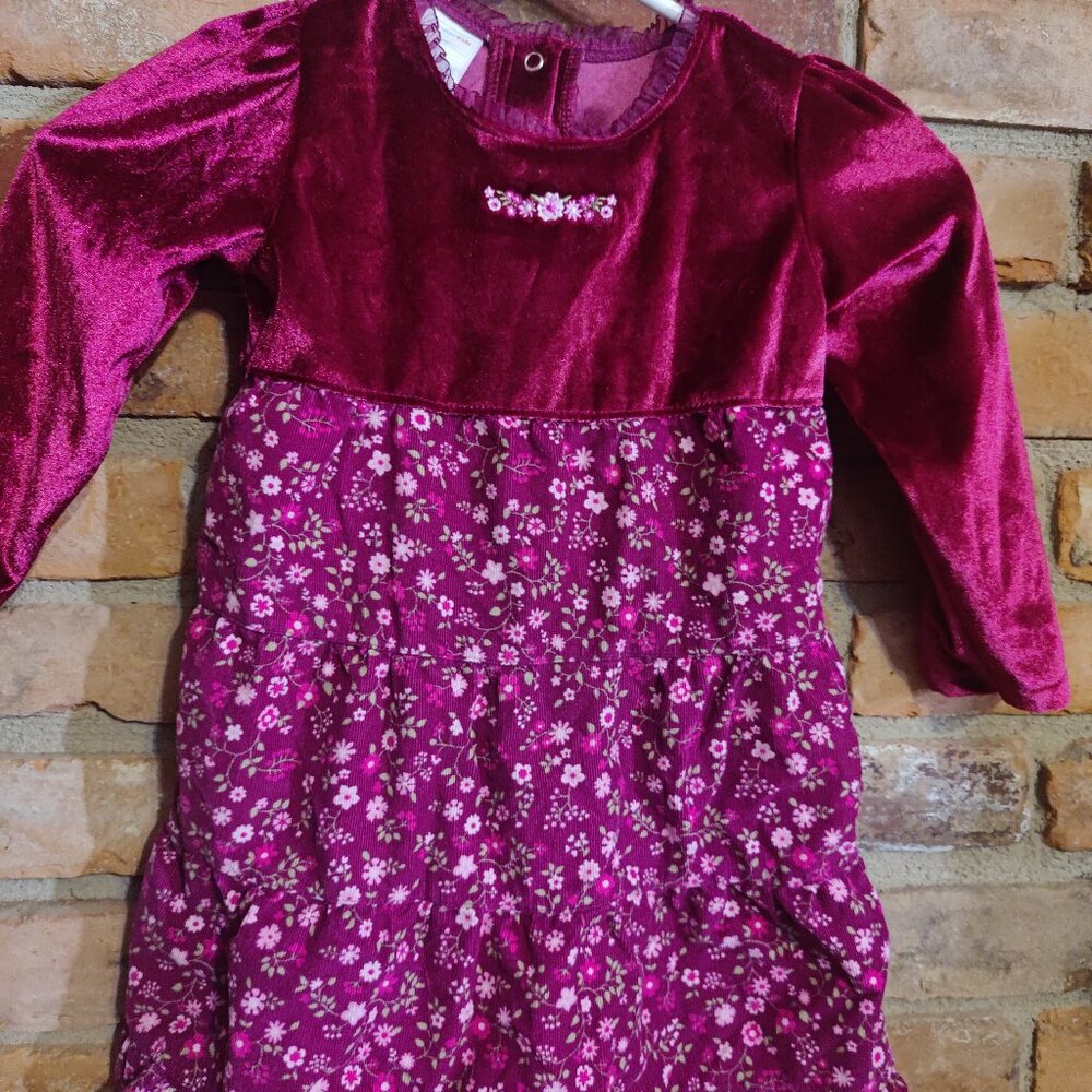 Toddler Girls Pretty Floral Velvety/Velour Dress